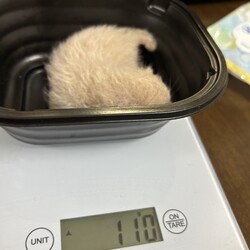 「生後1ヶ月のミルク」サムネイル3