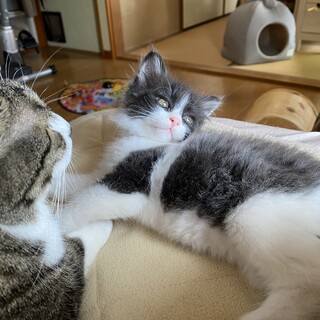 ２か月の元気な男の子