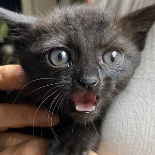 ２か月の元気な男の子