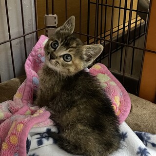 とっても可愛い女の子