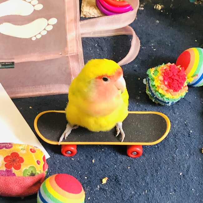 kuri1026のカバー写真