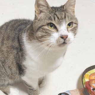 とても人馴れしている子です