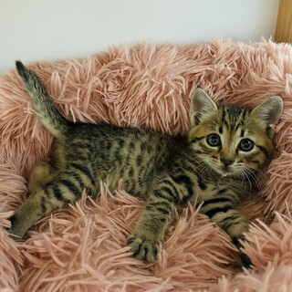 どこでも寝ちゃうマイペース男子♡たらちゃん♡