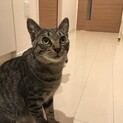 甘えん坊の元気くん