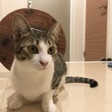 キュートなお嬢さん