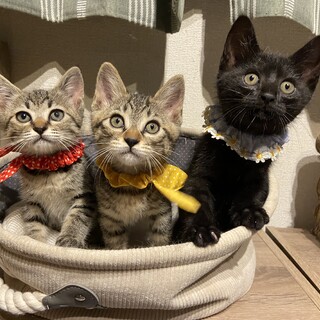 甘えん坊な可愛い兄妹