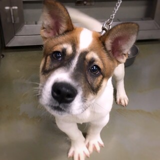 なれなれやんちゃボーイ　らておくん　2ヶ月