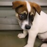 なれなれやんちゃボーイ　らておくん　2ヶ月 サムネイル3