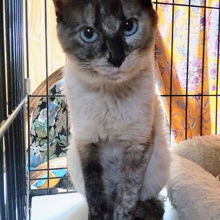 〝ふうちゃん〟です♪