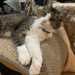 スキンシップ大好き！アイラインくっきり花吹ちゃん♪