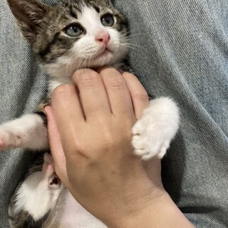 好奇心旺盛！元気なちびすけくん