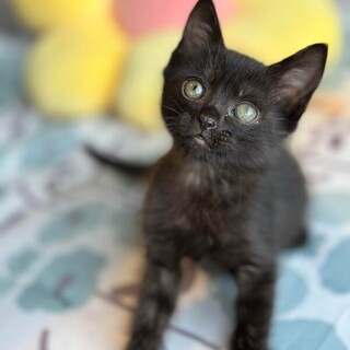 人懐こいクミンちゃん！