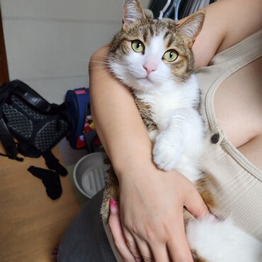 抱っこ大好き♥️