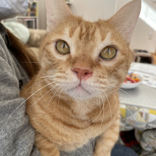 【お見合い歓迎】ハンデはスペシャルな印♬せんくん