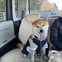 津藤さぶろう