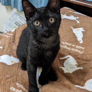 おてんばな女の子です 令和5年3月6日生まれ