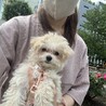 元気いっぱい女の子うとちゃん サムネイル4