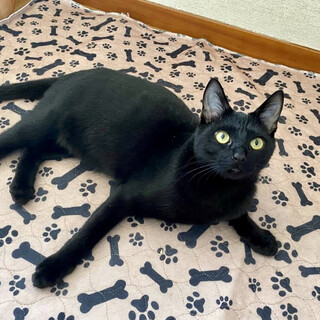 【お見合い歓迎】イッジくん