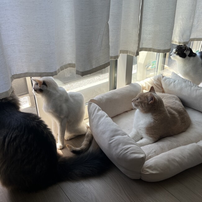 miki.kdのカバー写真