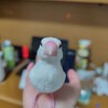 『至急』可愛い手乗り文鳥の里親募集(1羽) サムネイル5