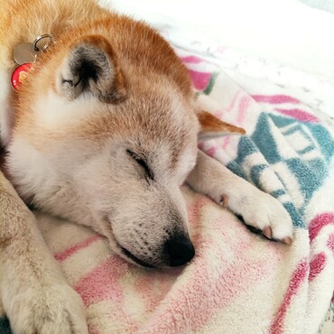 桃ちゃん！杏雷さん！うわぁw⁠(⁠°⁠ｏ⁠°⁠)⁠ww⁠(⁠°⁠ｏ⁠°⁠)⁠wほんとだ！人生の半分以上！おかあさん〜マジよく我慢したわ！笑笑