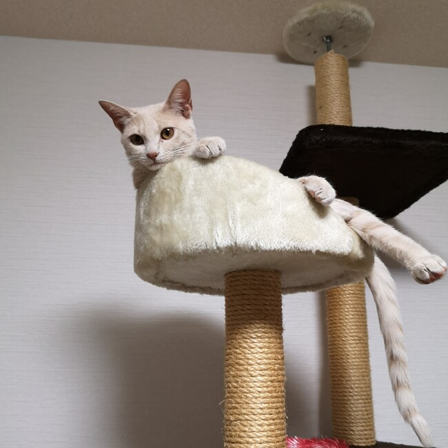 外山(とやま)のカバー写真