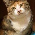 気品のある　たまちゃん