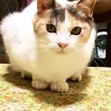 キュートな　ゆきちゃん