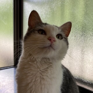 床でもフミフミしちゃう！つむぎちゃん