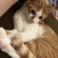 うに