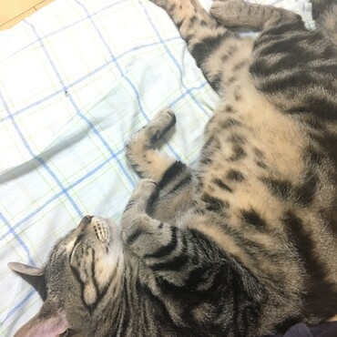 お腹が。。