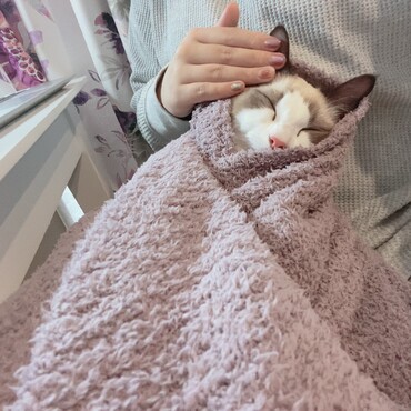 こんなのエケチャンやん