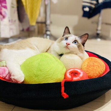 神がかった可愛さしとる