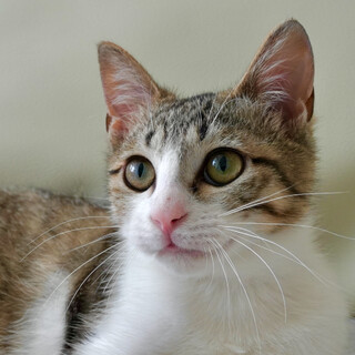 新たなご家族ができました♪