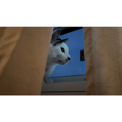 「おうちからみる雨」サムネイル3