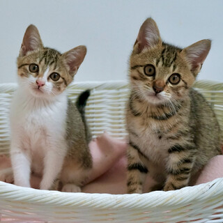 ふたり仲良く新たなご家族ができました♪