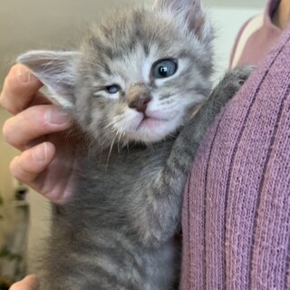 白血病です。ベタベタ甘えん坊の男の子