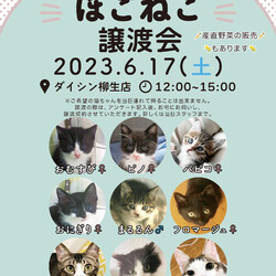 ほごねこ譲渡会　〜愛すべき野良猫の会〜