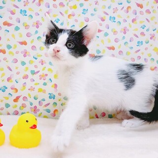 【6/18東日本橋】ヘブンくん♥️2ヶ月