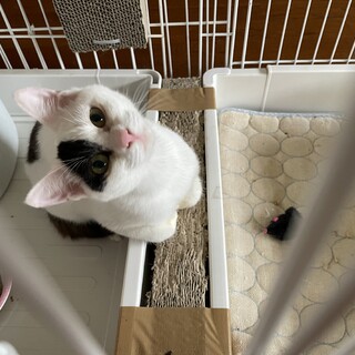 手のかかる子ほど愛おしい‥