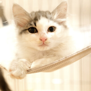 じゅあ♡家族ができました