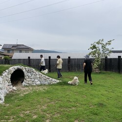 総社市ＡＷＡしつけ教室　＜雨天決行＞ サムネイル2