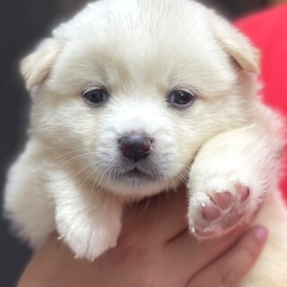 23-M183　可愛過ぎる赤ちゃん兄妹！