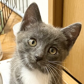 マイペースなルルちゃん2ヶ月