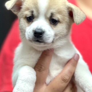 23-W194　可愛過ぎます♪