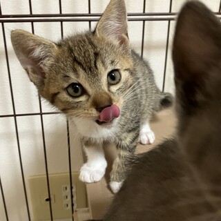 活発クルミちゃん2ヶ月