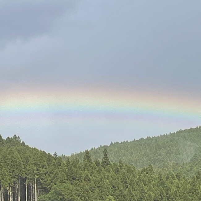 おもちかあさんのカバー写真