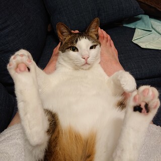 もっちもちの甘えん坊♪