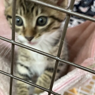優しい男の子2ヶ月