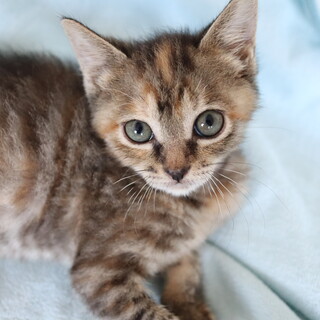 まん丸お顔で愛らしい女の子